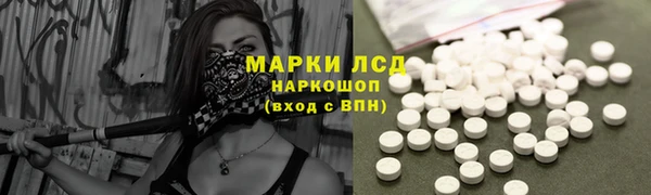 стафф Медногорск
