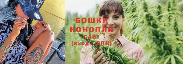 амф Мегион