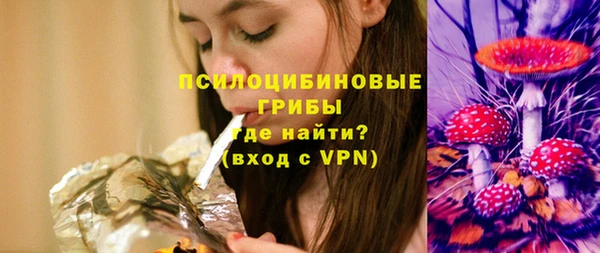 стафф Медногорск