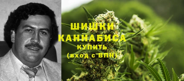 амф Мегион