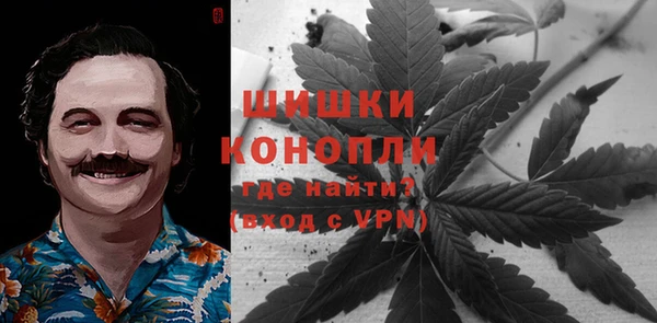 стафф Медногорск
