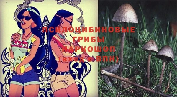 амф Мегион