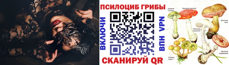 наркошоп  Ефремов  ссылка на мегу tor  Псилоцибиновые грибы MAGIC MUSHROOMS 