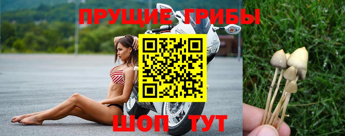 Псилоцибиновые грибы GOLDEN TEACHER  Галлюциногенные грибы GOLDEN TEACHER  Ефремов 