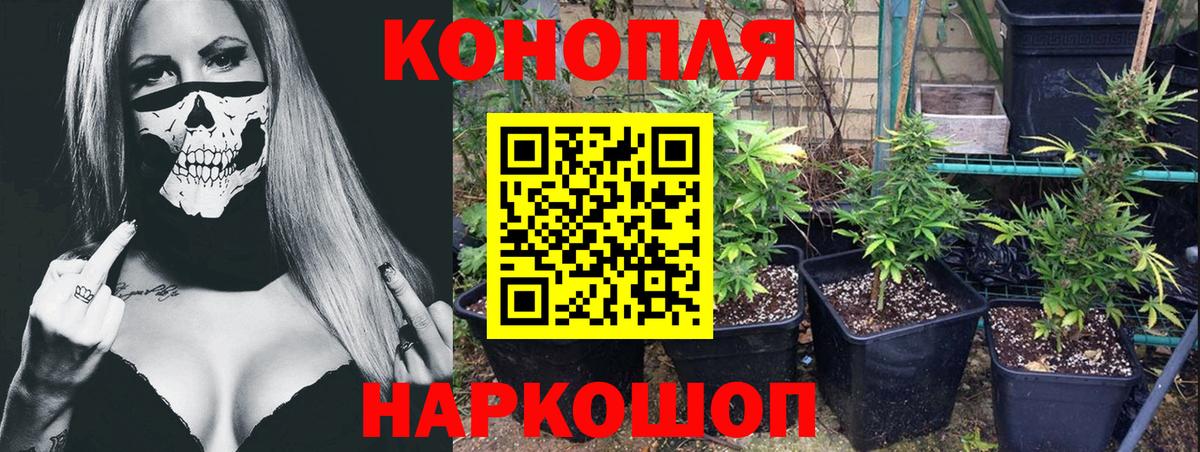 Конопля планчик  Ефремов  Конопля MAZAR  Канабис Amnesia 